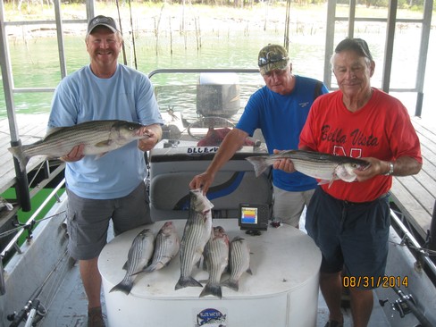 Nice Striped Bass